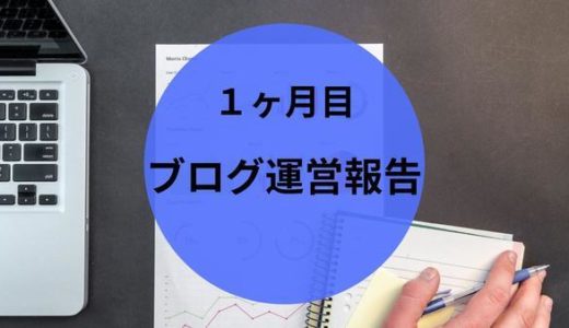 【ブログ運営報告】1ヶ月目  PV数 収益  今後の目標は？