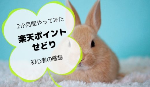 楽天ポイントせどりは今からやっても稼げるの？[完全初心者が2か月間やってみた感想]